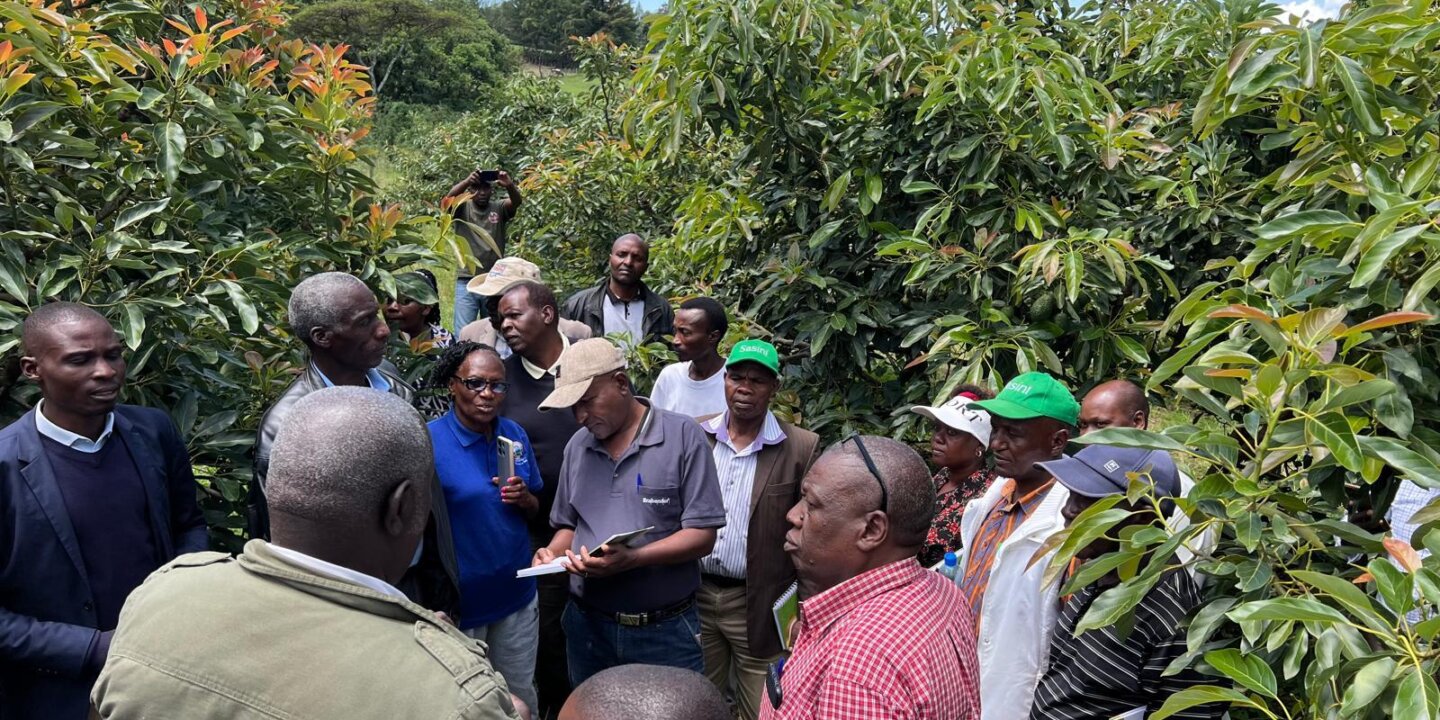 Nandi Farmers exchange 3