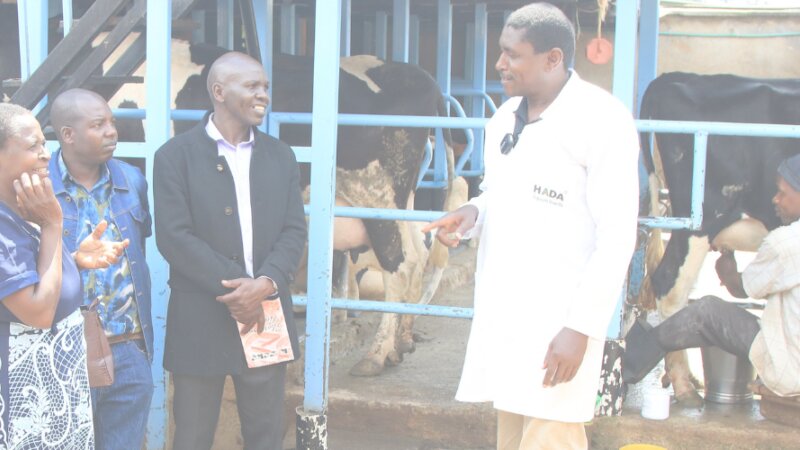 FORQLAB Food Losses Kenya