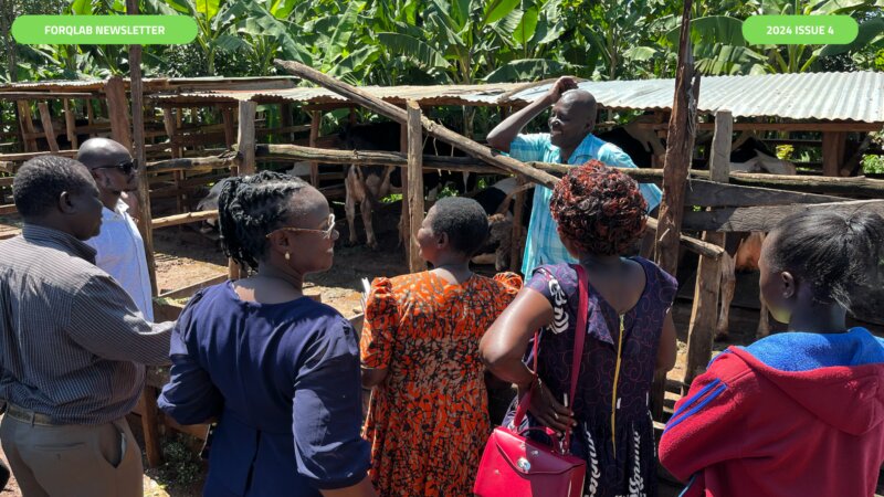 FORQLAB Newsletter 2024 issue 4