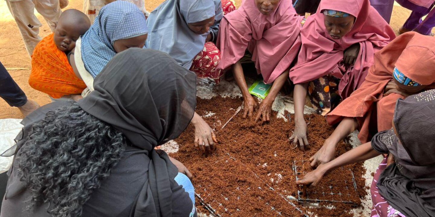 03 Usman Blog picture