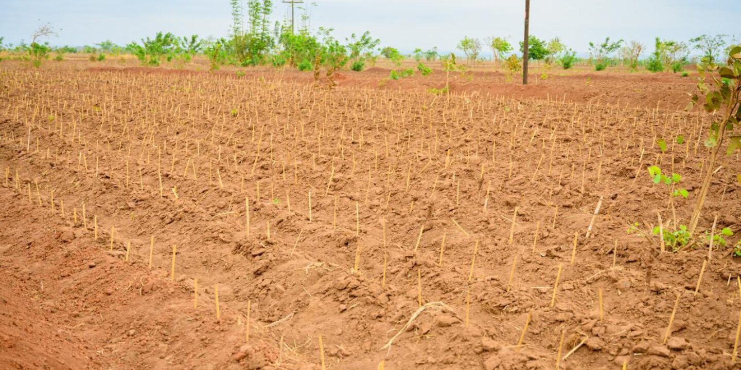 O8 Confrey Blog on Finance01