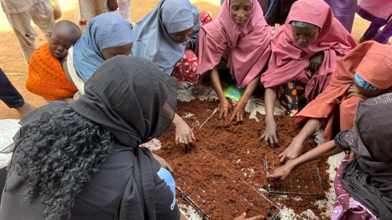 From Subsidies to Systemic Value: What Food Systems Finance Looks Like from the Field