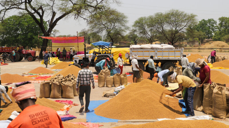 Beyond Market Linkage: An Ecosystem Approach for Farmer Producer Organizations