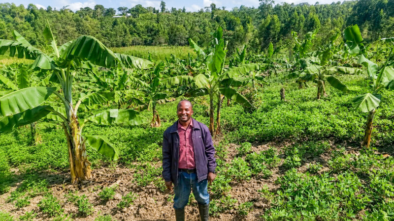 Food Systems Sustainability Financing: A Responsibility For All