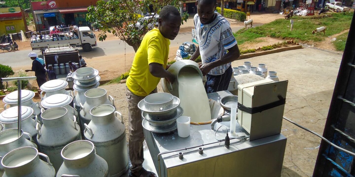 64bfe1b1 04e4 5a6c 0c4a accd92a0154f