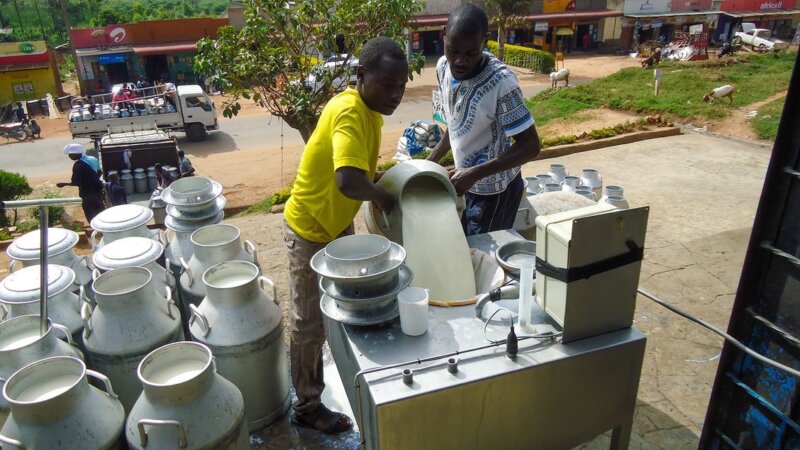 NEADAP Newsletter Issue 3 - April 2023