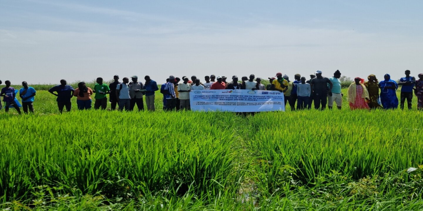 Seed Money project Senegal6