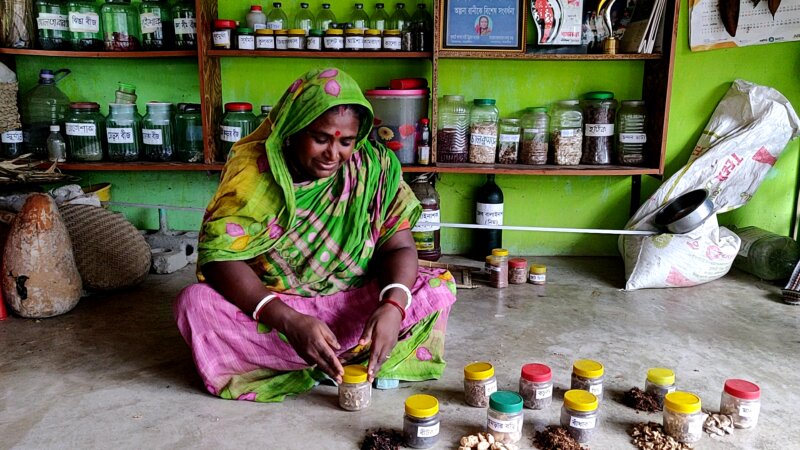 Resilient Roots: Leveraging indigenous practices for salinity adaptation in Southern Bangladesh