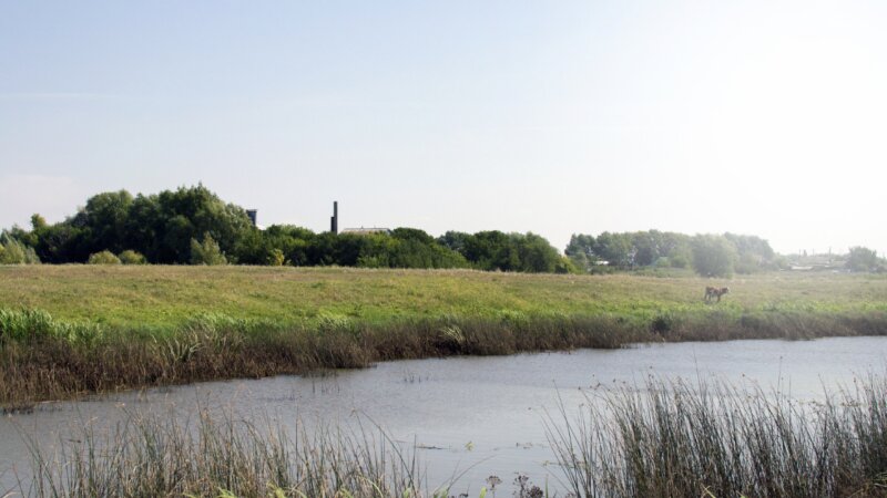 Dealing with the global challenges of salinisation. Drivers, challenges and solutions