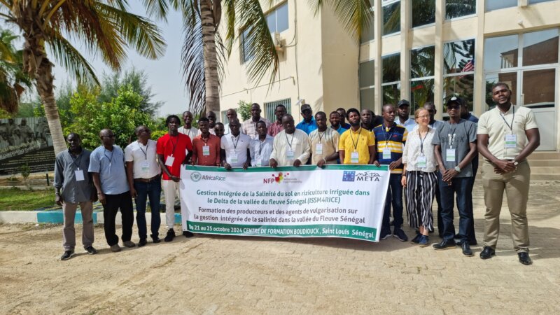 Integrated soil salinity management in rice-based systems of the Senegal River Valley (ISSM4RICE)