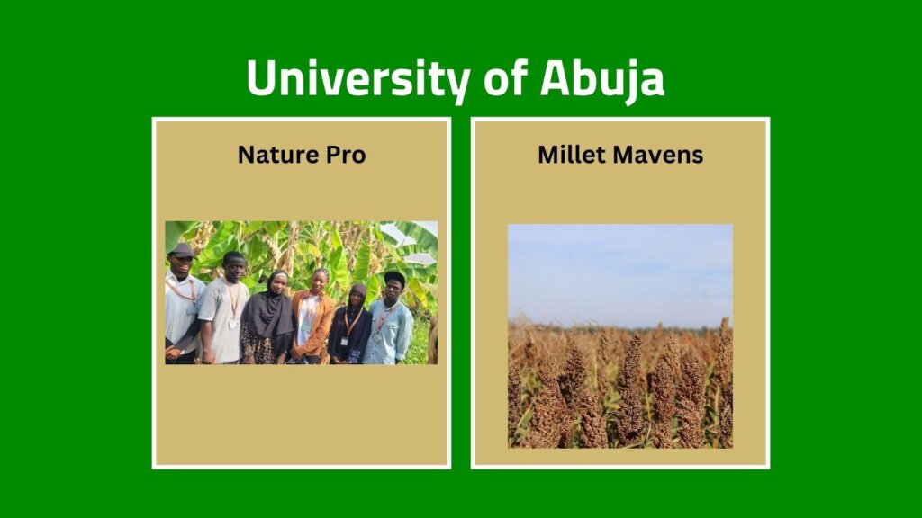 University of Abuja Nigeria