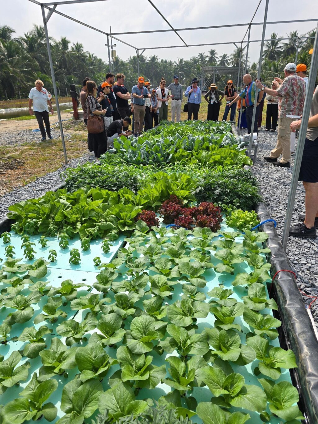 Whats App Image 2026 01 26 at 09 34 23