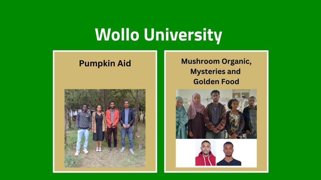 Wollo University Ethiopia