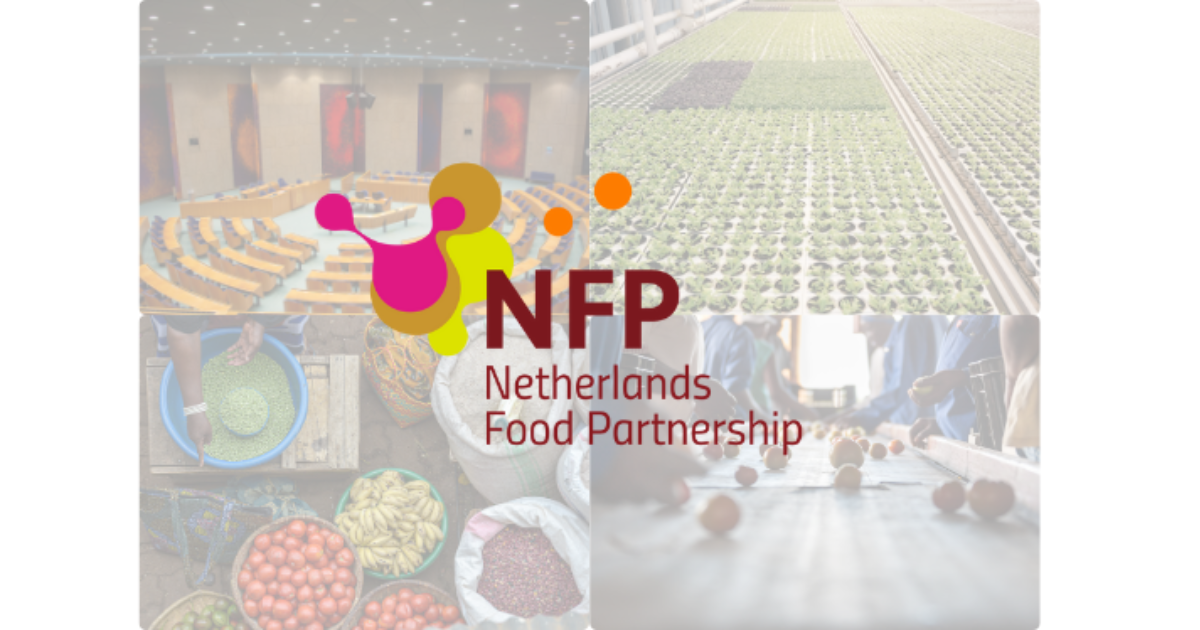 Joint reflections on the new Dutch Development Policy:… | NFP Connects