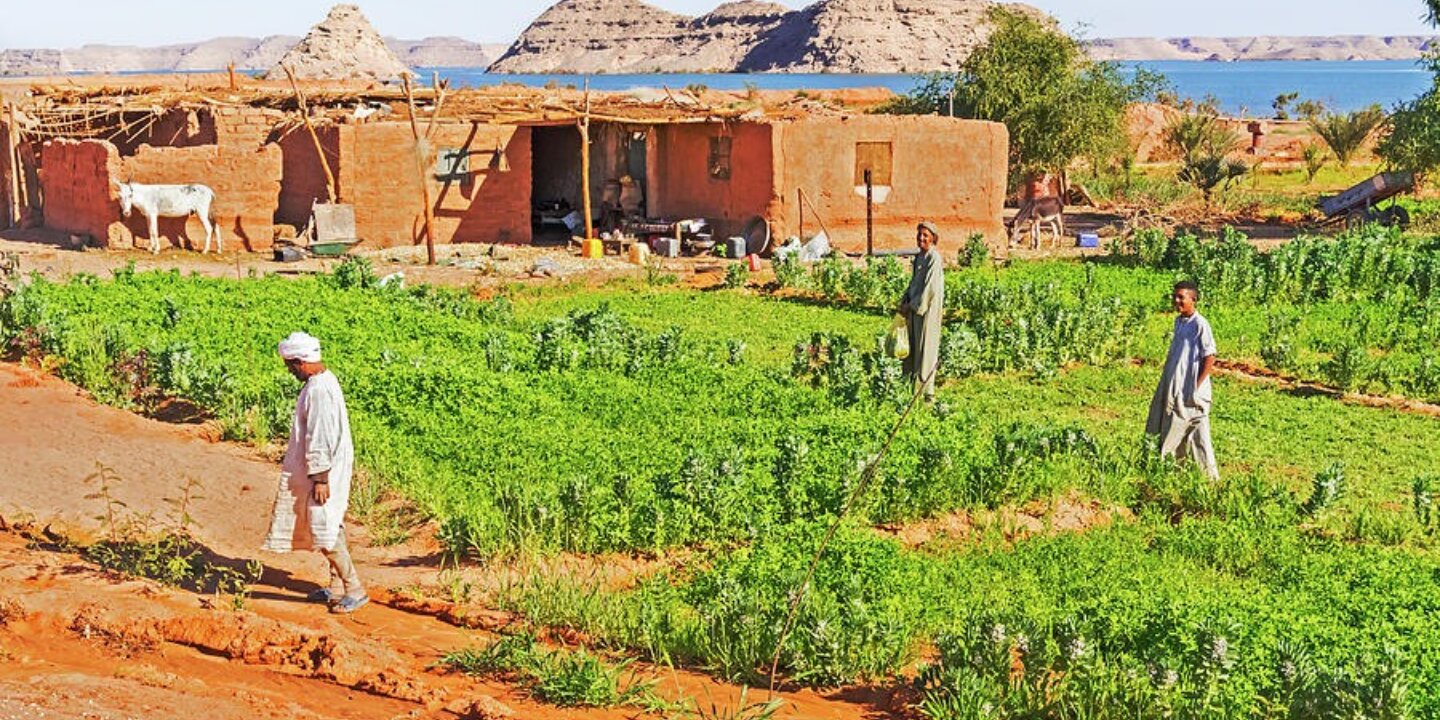1 rural area near lake nasser in southern egypt marek poplawski