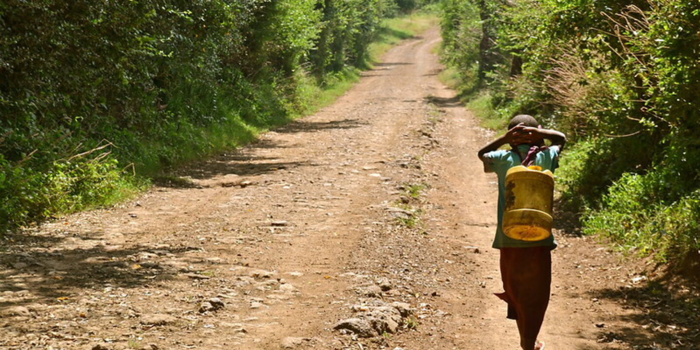 10513858085 6b3f3447f9 c