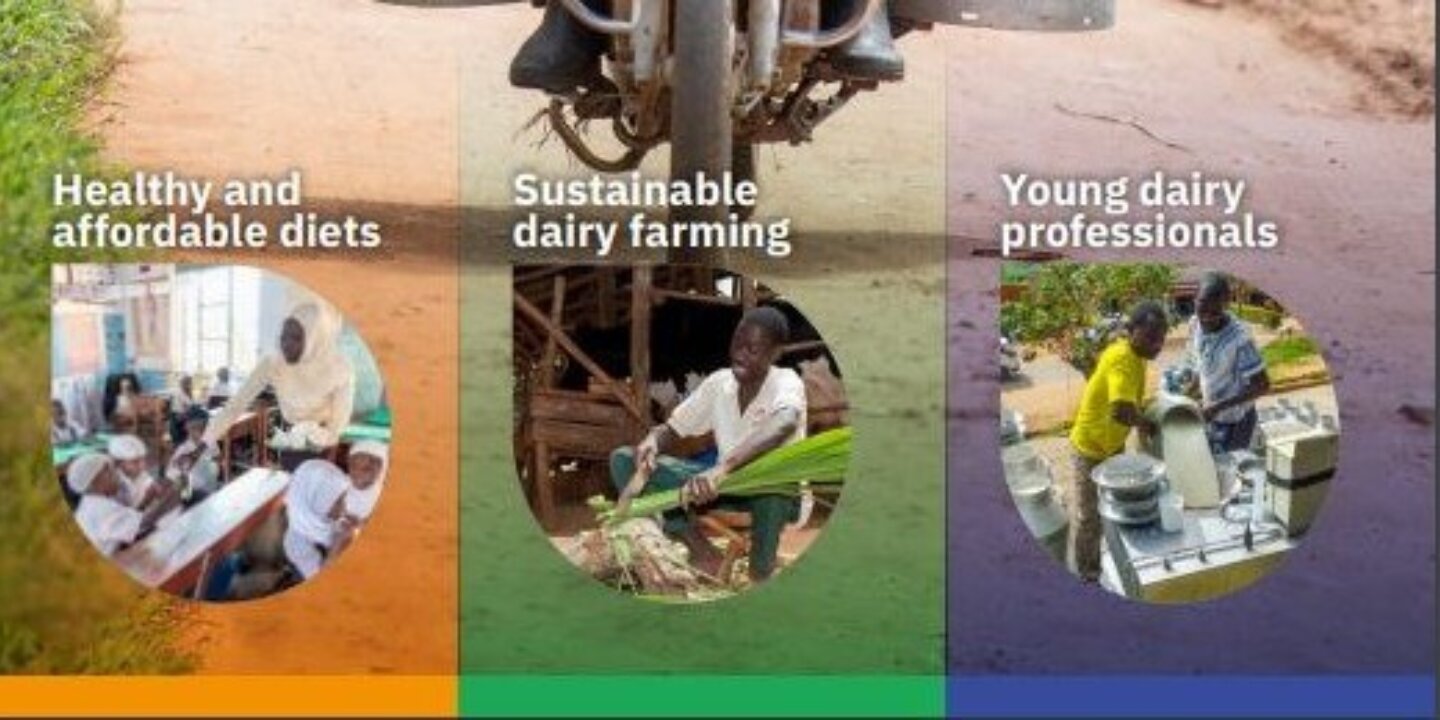 Dairy solutions cover5