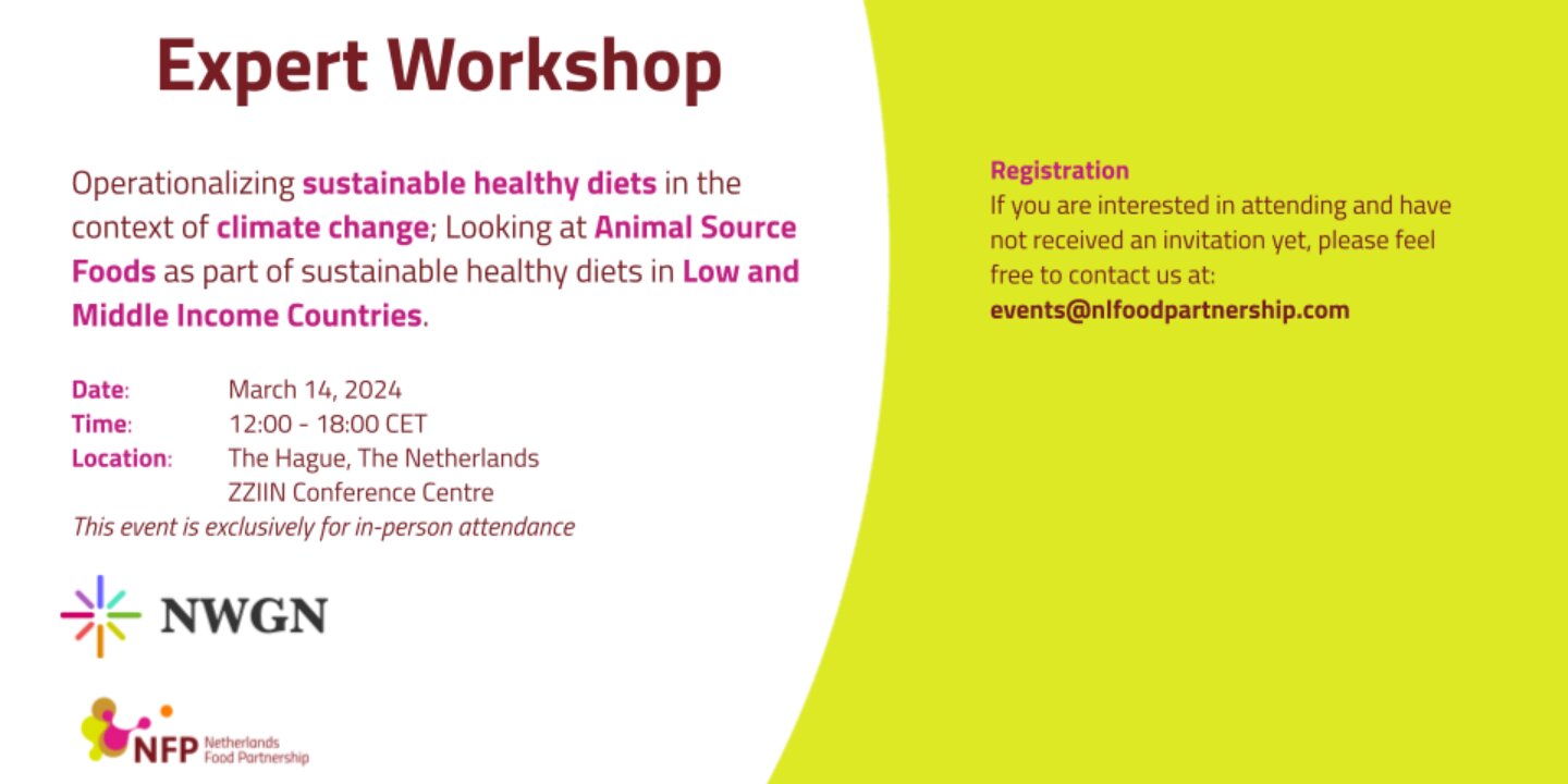 Event Flyer Expert Workshop 14 March 2