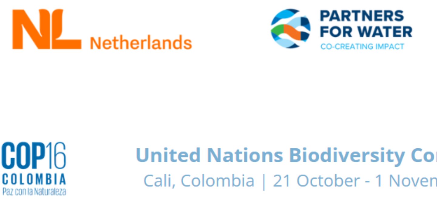 Screenshot 2024 07 17 112046