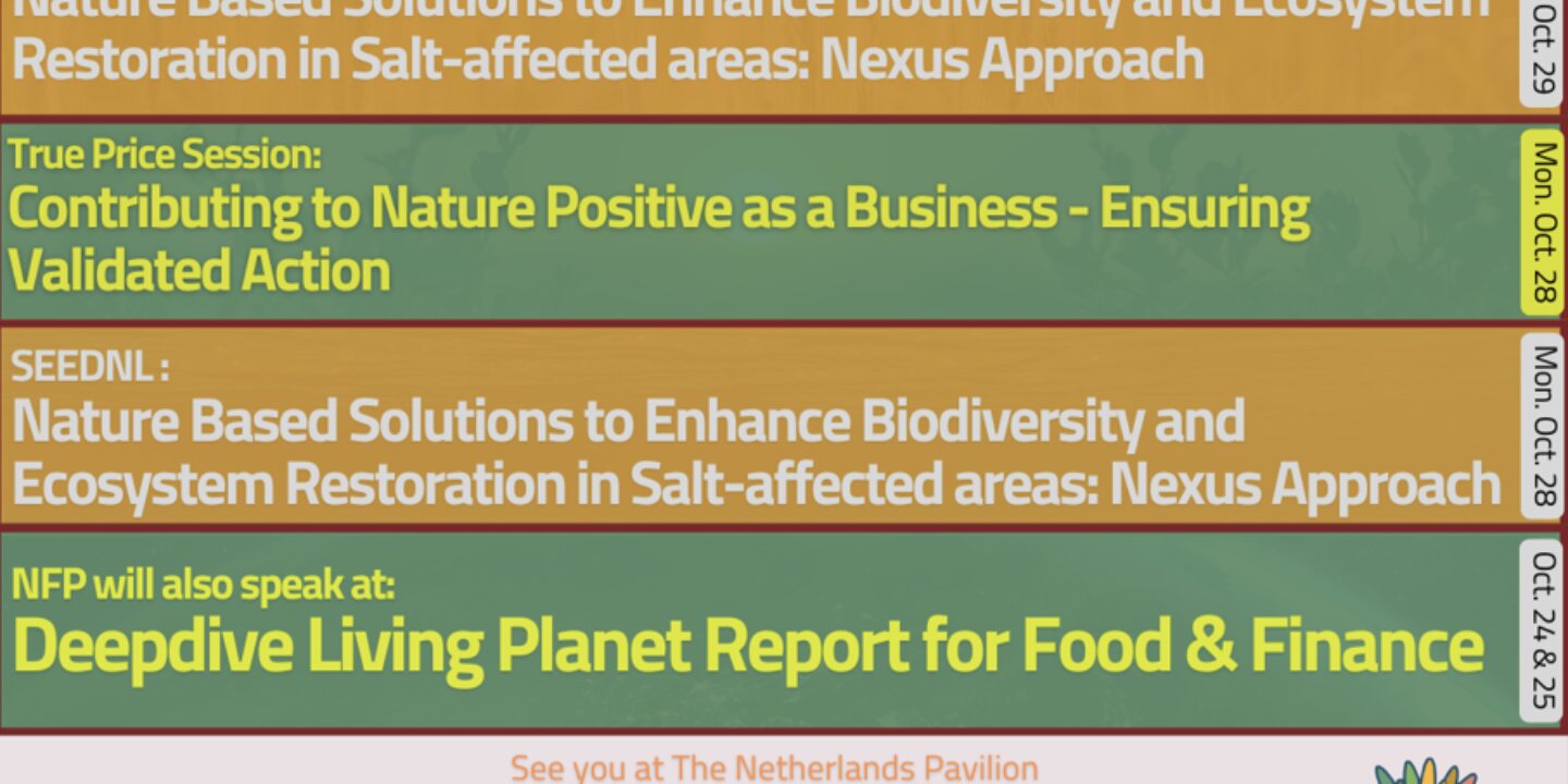 Screenshot 2024 10 21 170625