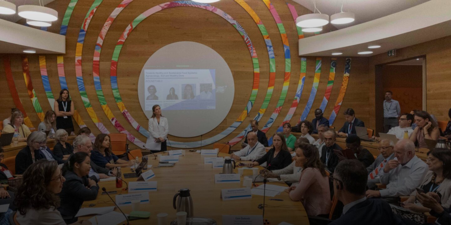 Unfss2 side event picture