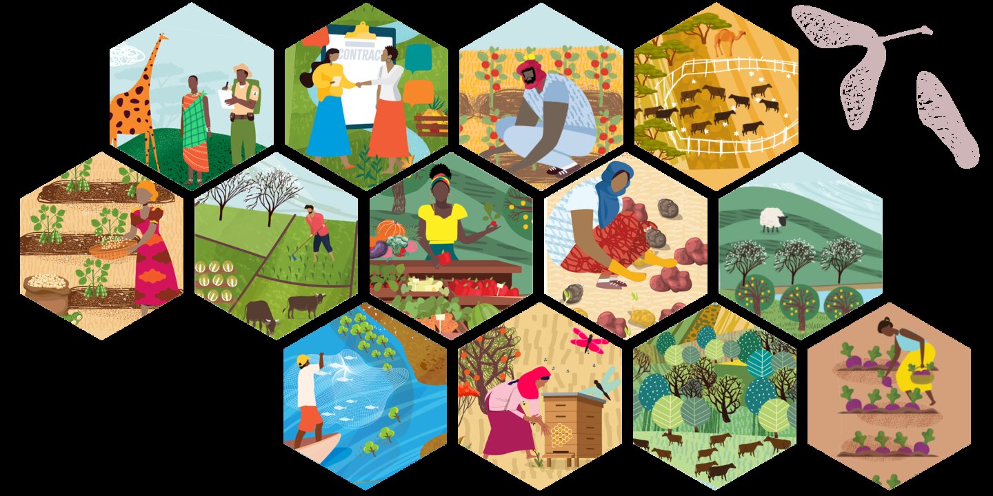 Website Honeycomb Banner