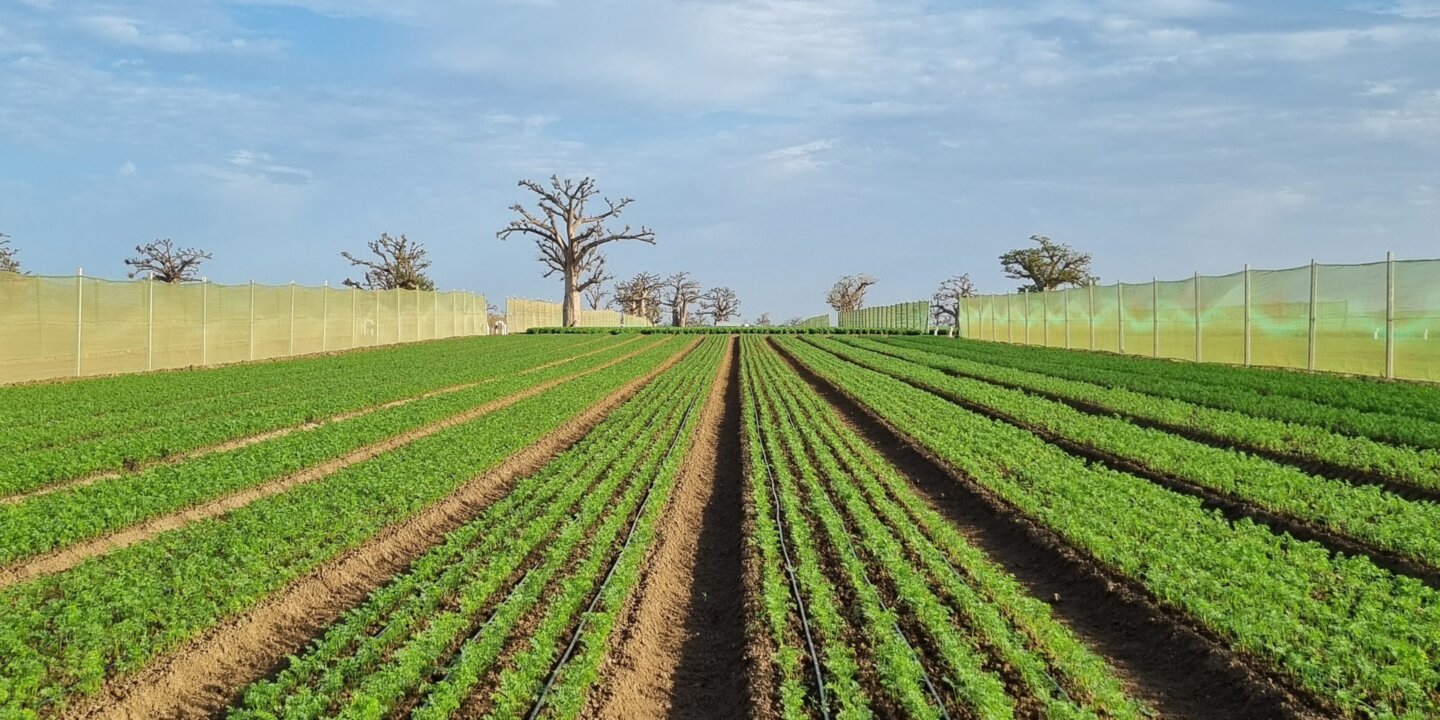 Cover catalogue untitled design 2