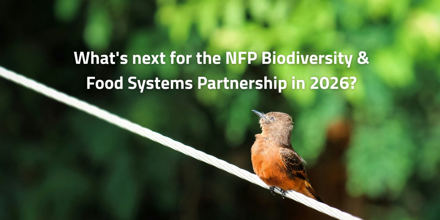 Coming up for the NFP Biodiversity Food Systems Partnership in 2026 1