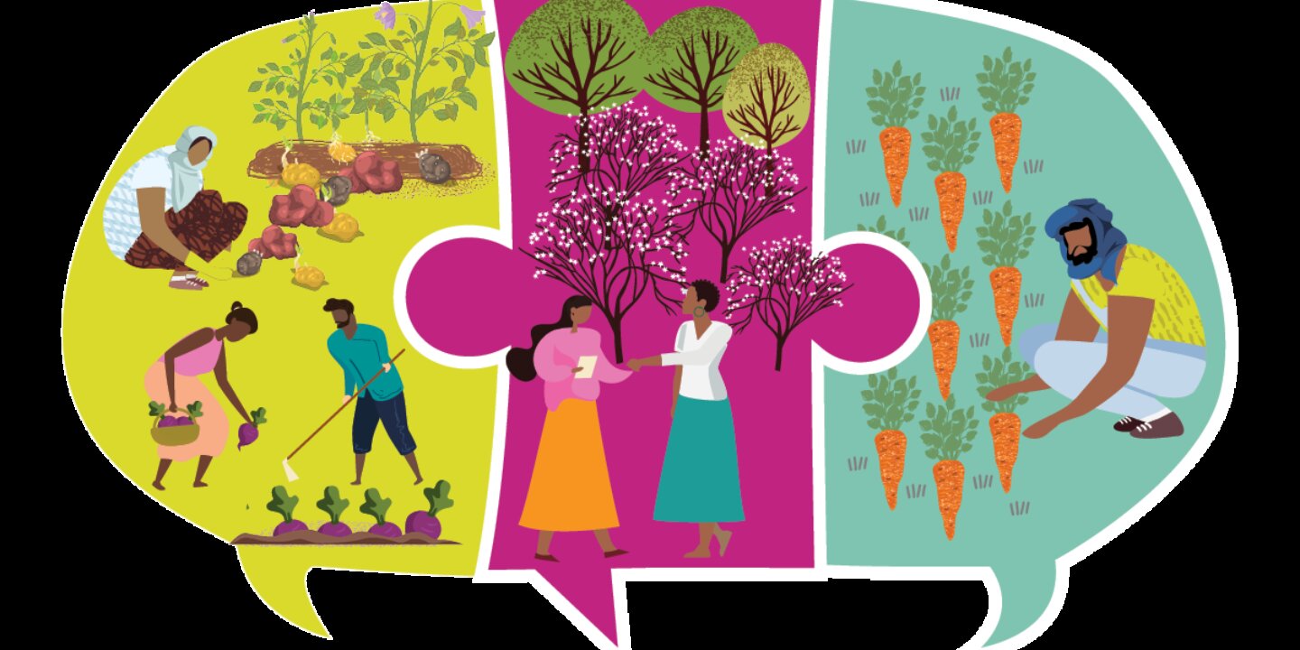 Cover in Yellow Pink and Turquoise on transparent background