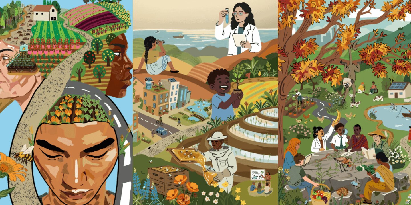 Coming up for the NFP Biodiversity Food Systems Partnership in 2026 6