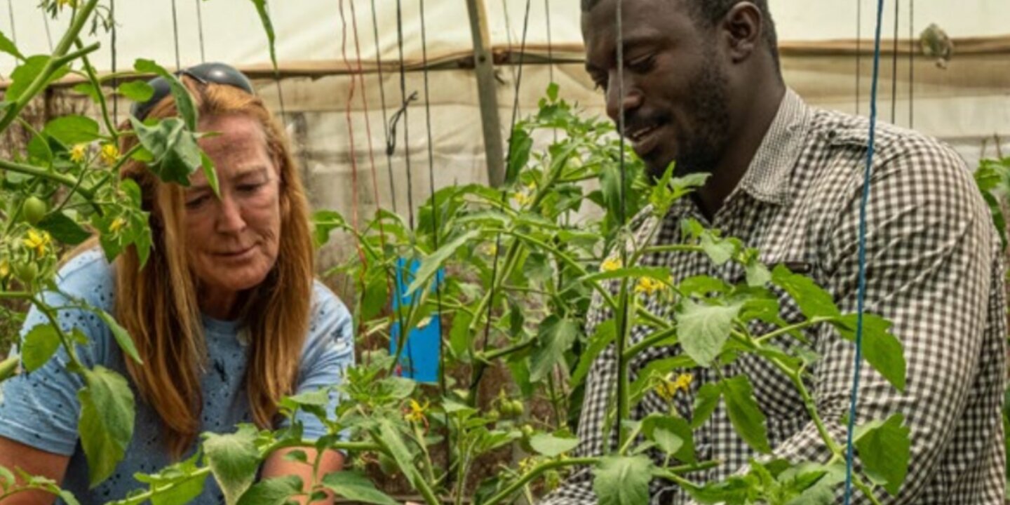 Untitled design 2022 06 27 T092459 681 width 1200