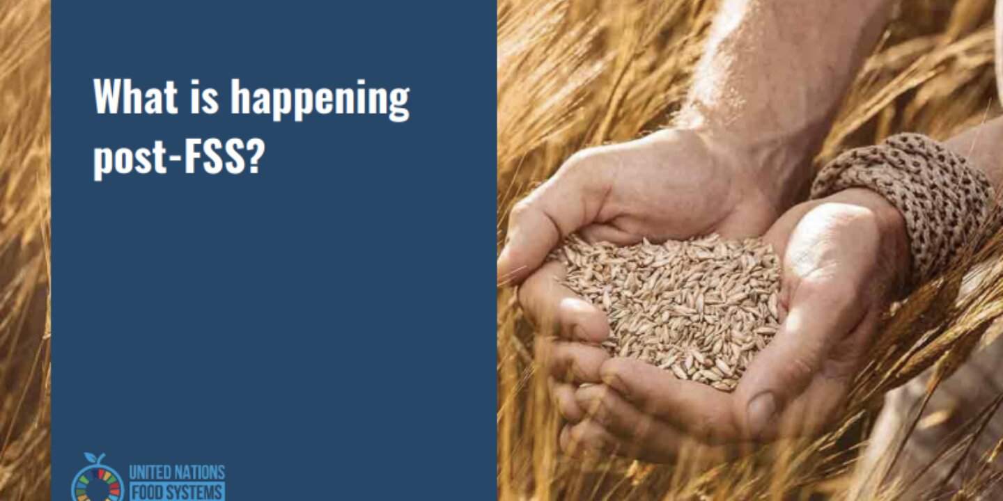 Screenshot 2023 05 17 133746