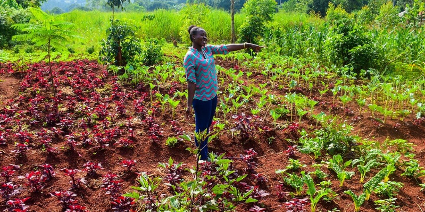 51884927768 4fbc93d4bf c