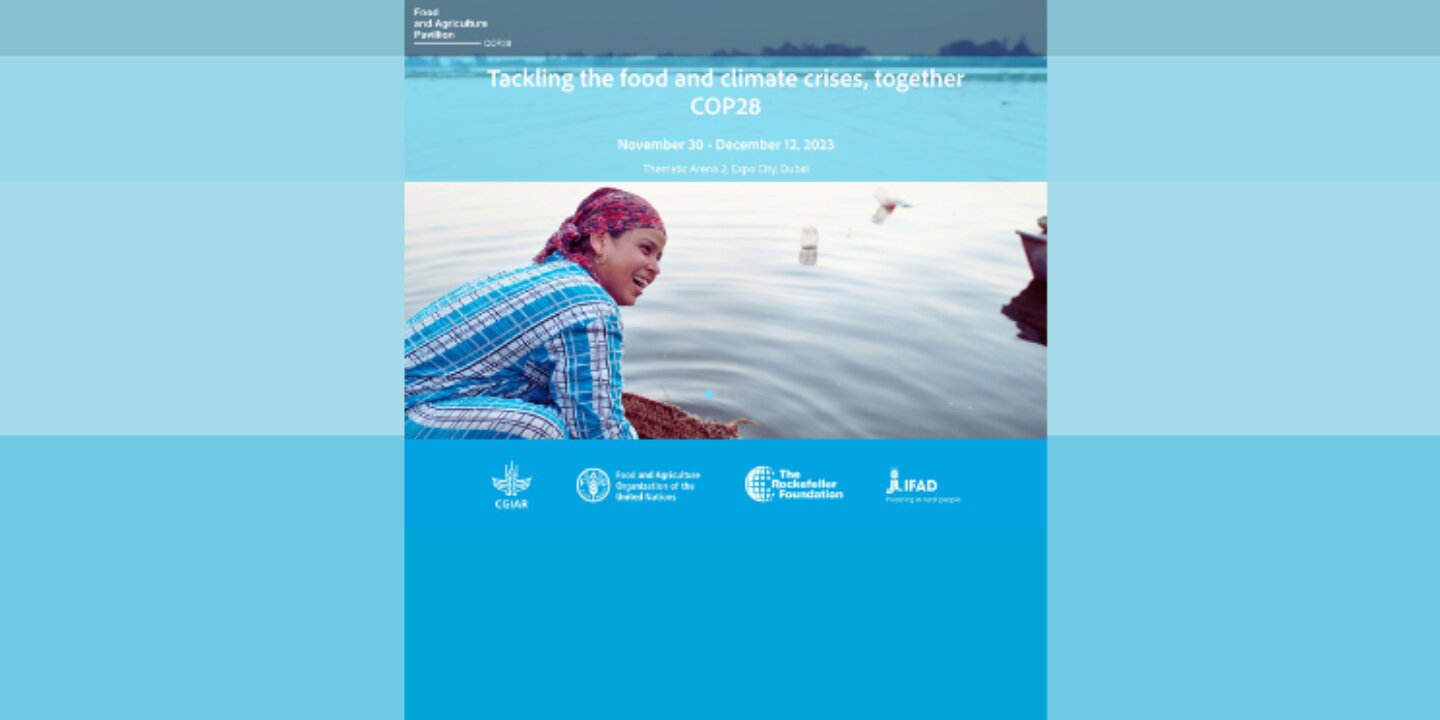 Kopie van NFP Connects Insights Image 6