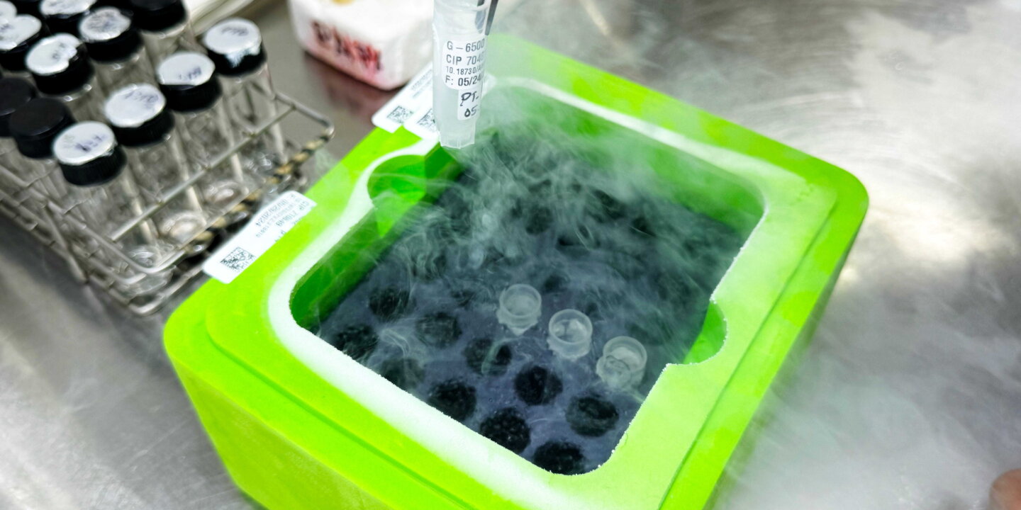 CIP lab 1