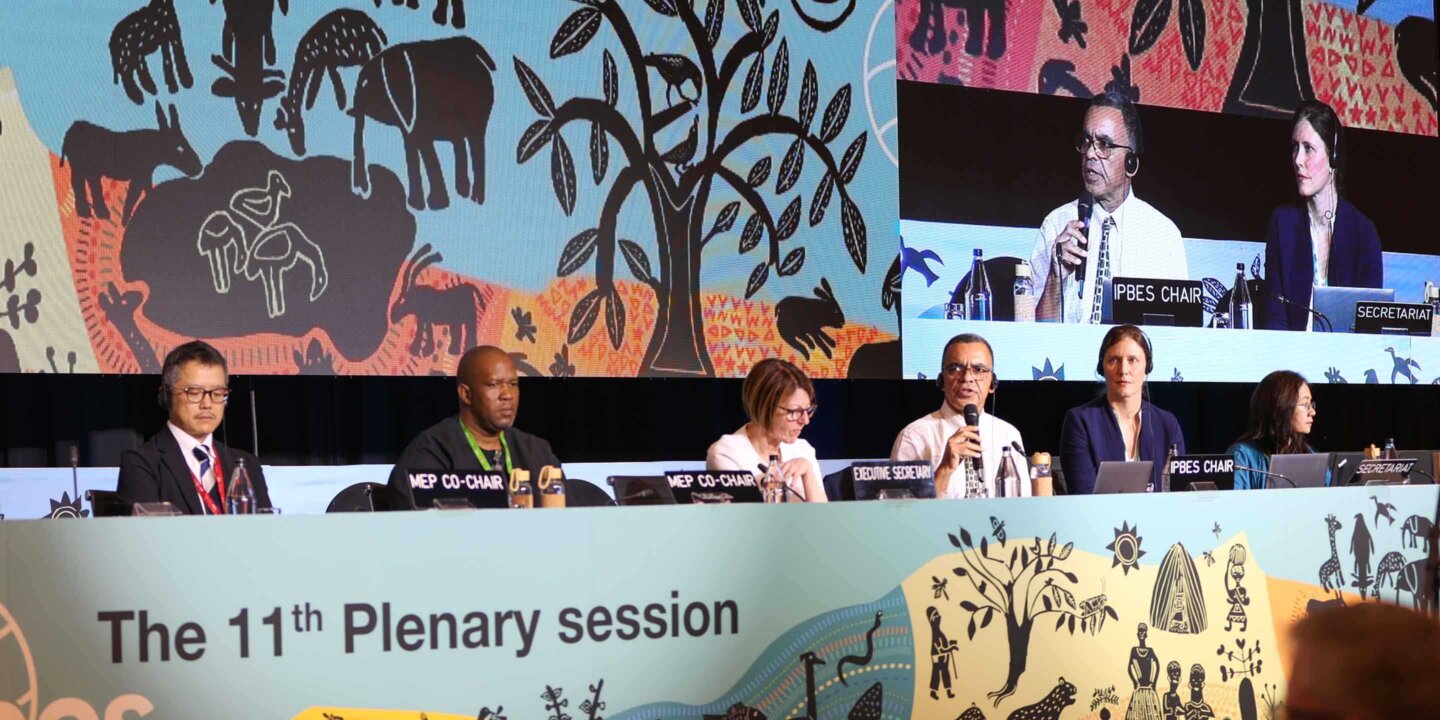 ENB IPBES11 10 Dec24 Kiara Worth 54