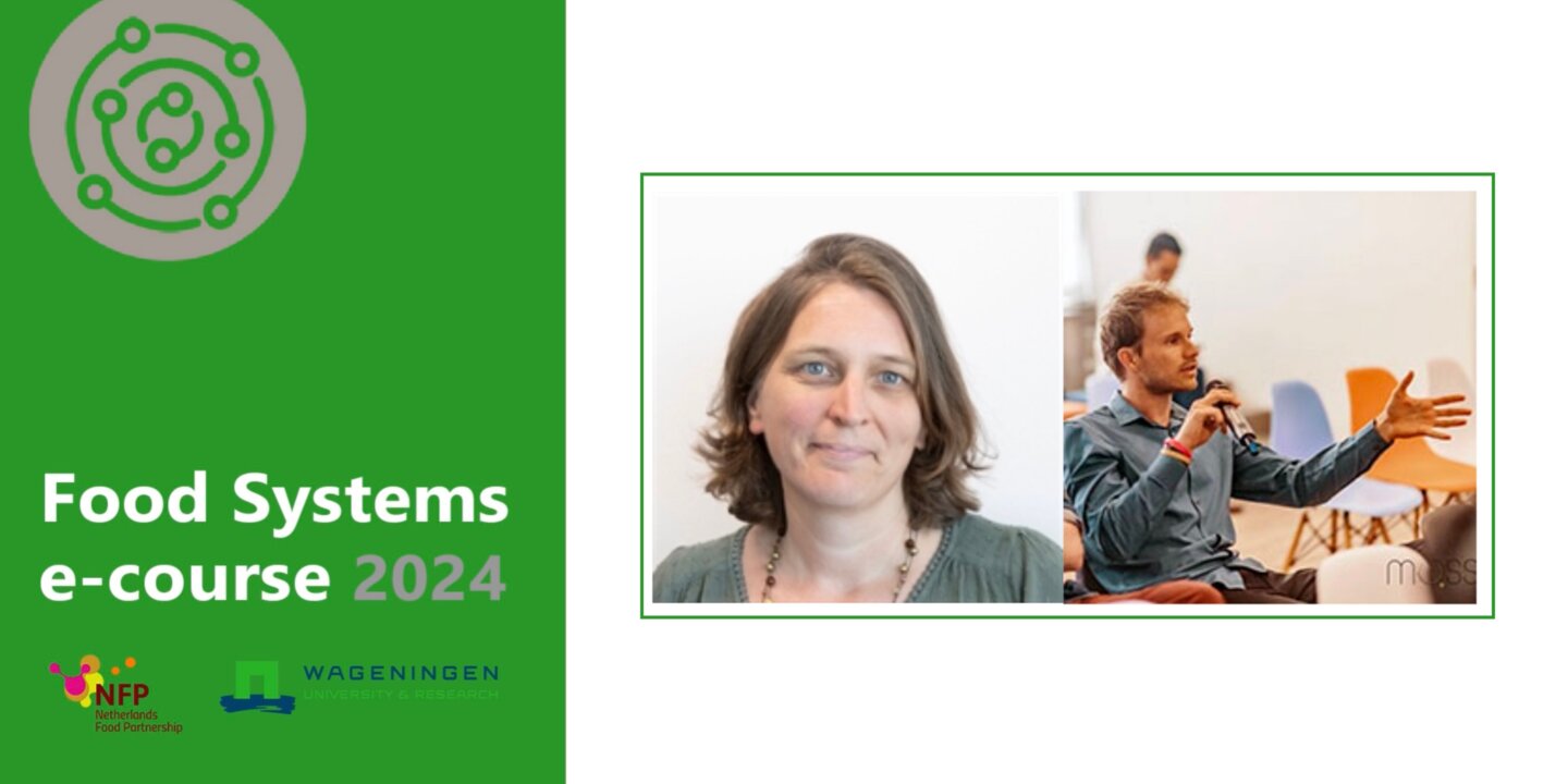 Module 2 Plenary 2024