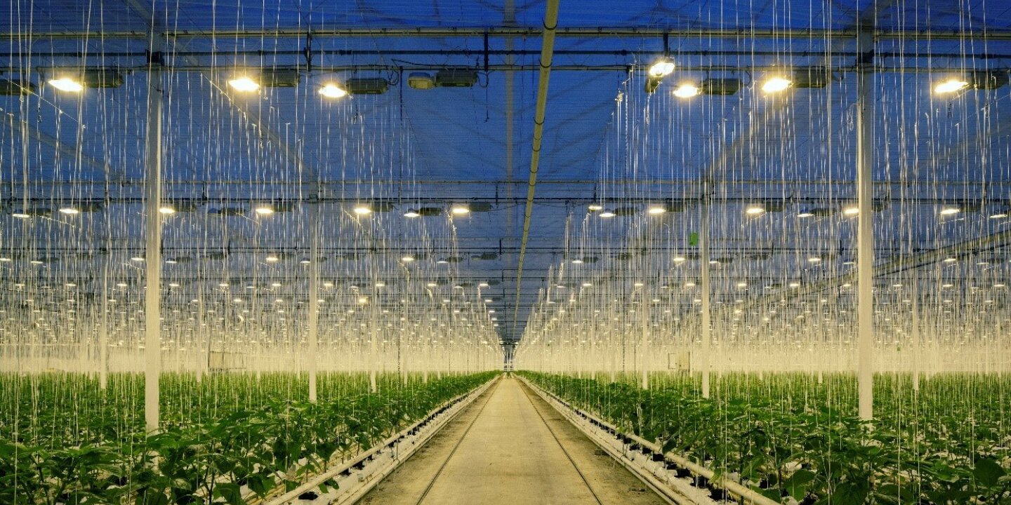 Nigeria beeld gebruiken