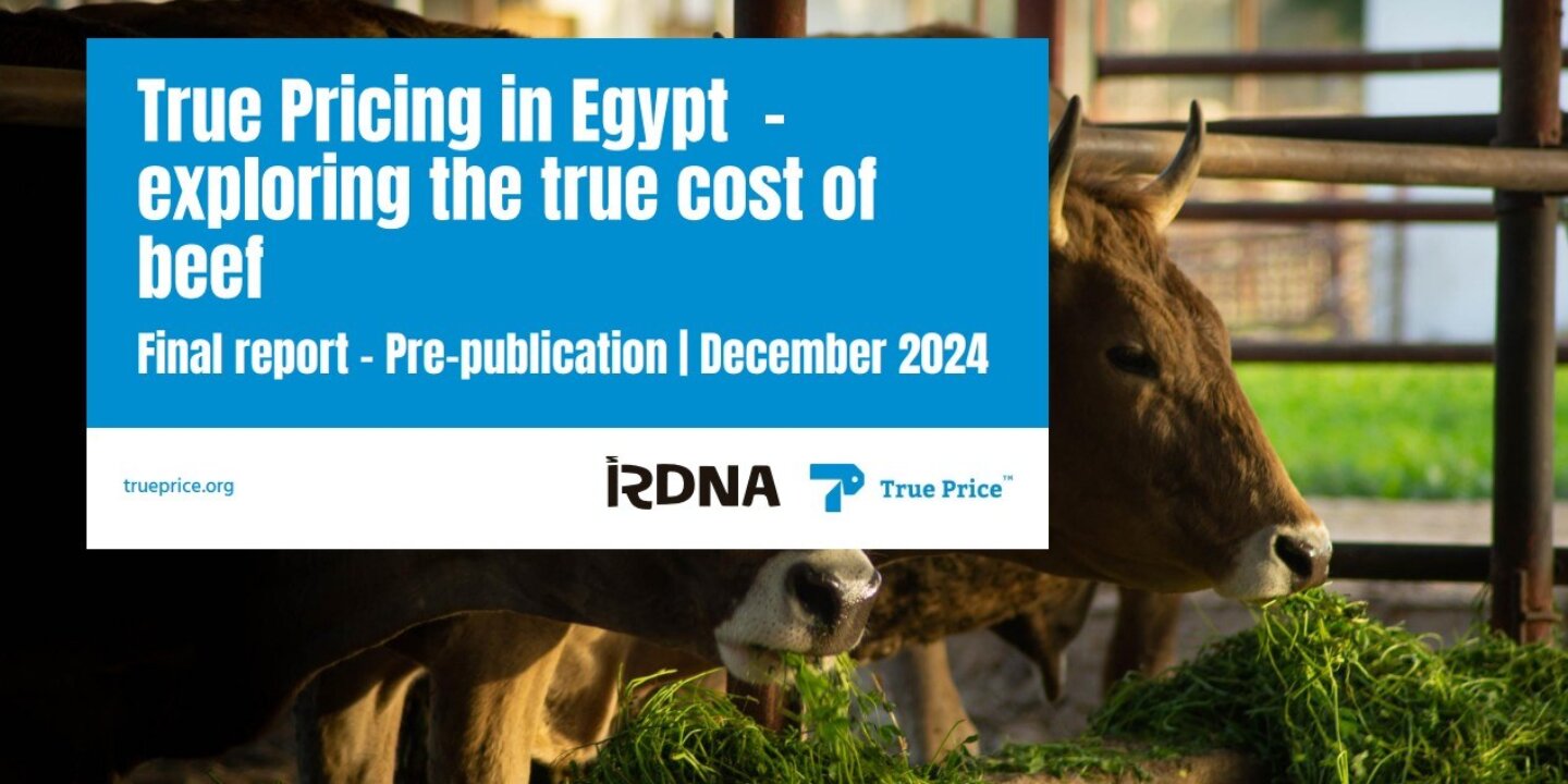 Screenshot 2025 08 21 170330