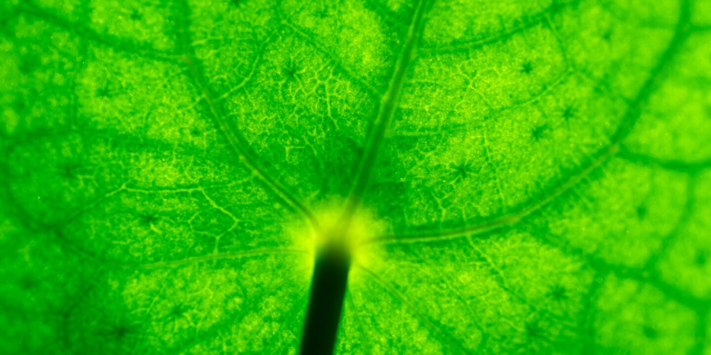 Aaron blanco tejedor ZF48 IVI Il Q unsplash