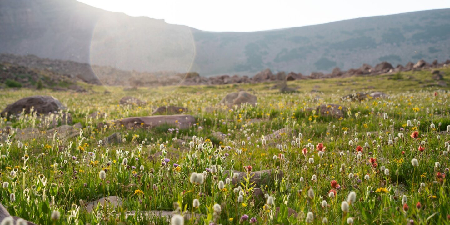 Alex moliski I31gl8xg HEI unsplash