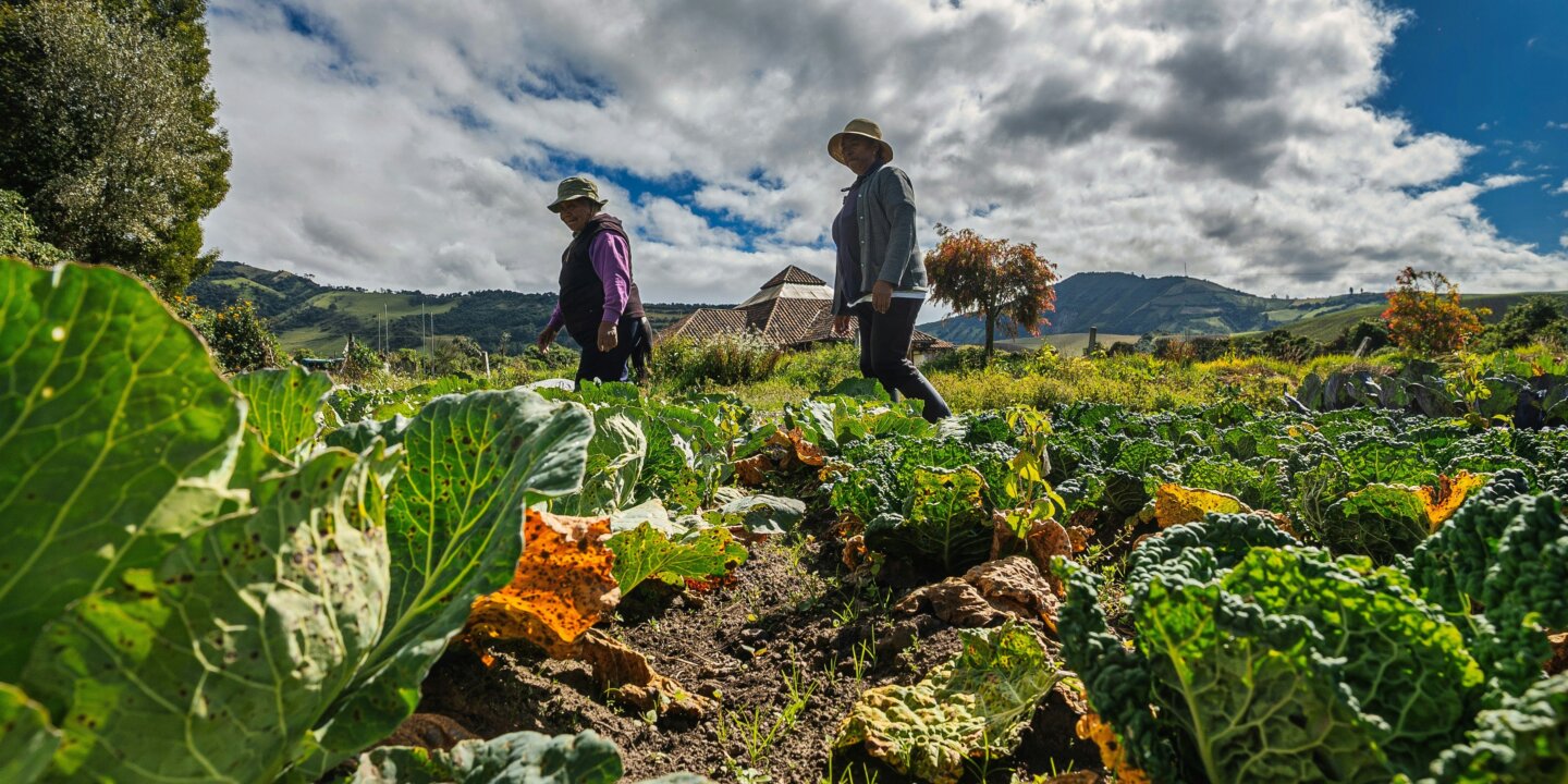Andres medina Tfj E0 Wg Vuk unsplash