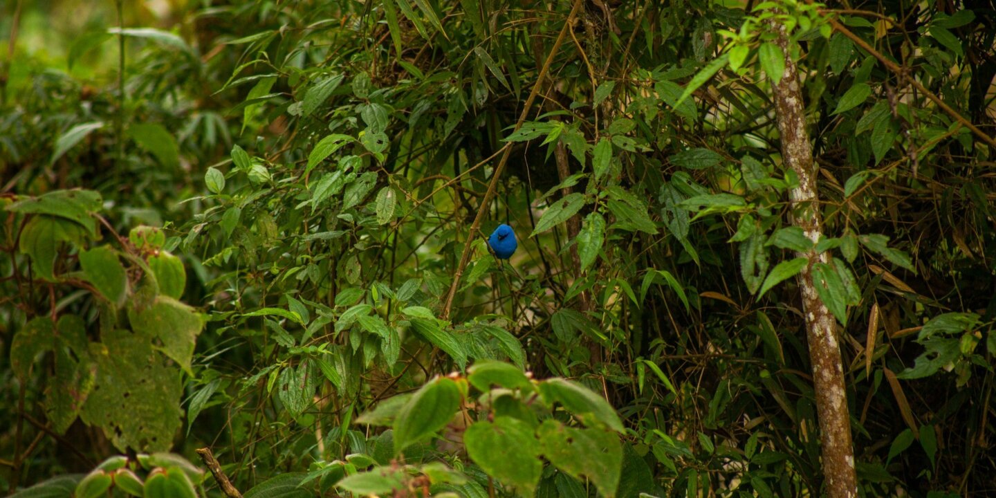 Backroad packers B Gi K Hk3d M6k unsplash