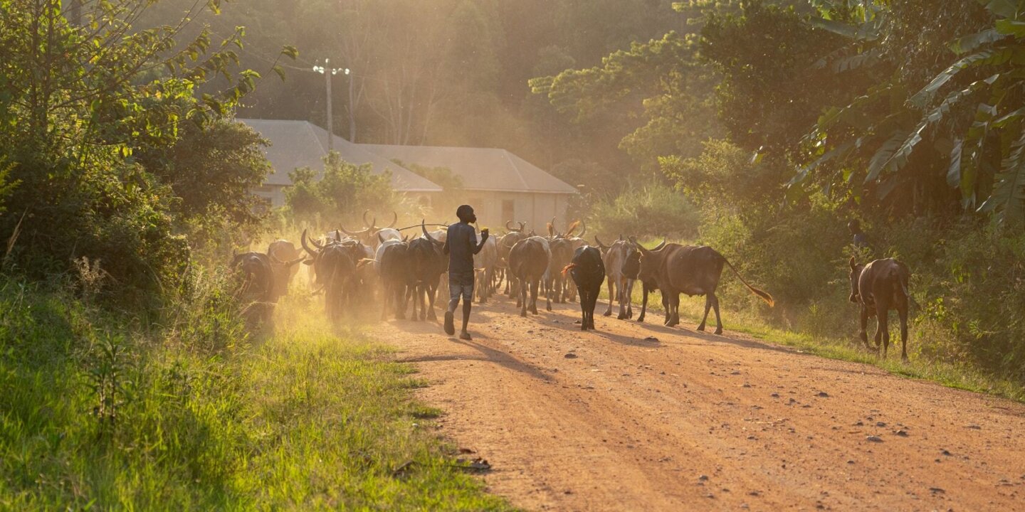 Bill wegener z U Jy CH Epz A unsplash