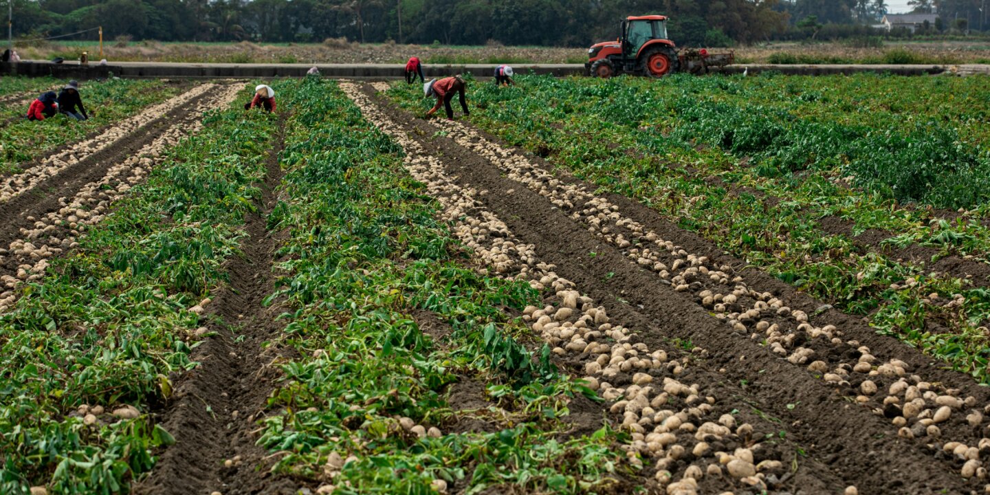 Charles chen t7 Ap H9qx Ksk unsplash