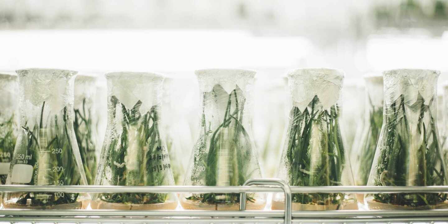 Chuttersnap Umnc Jq4 K Pc A unsplash