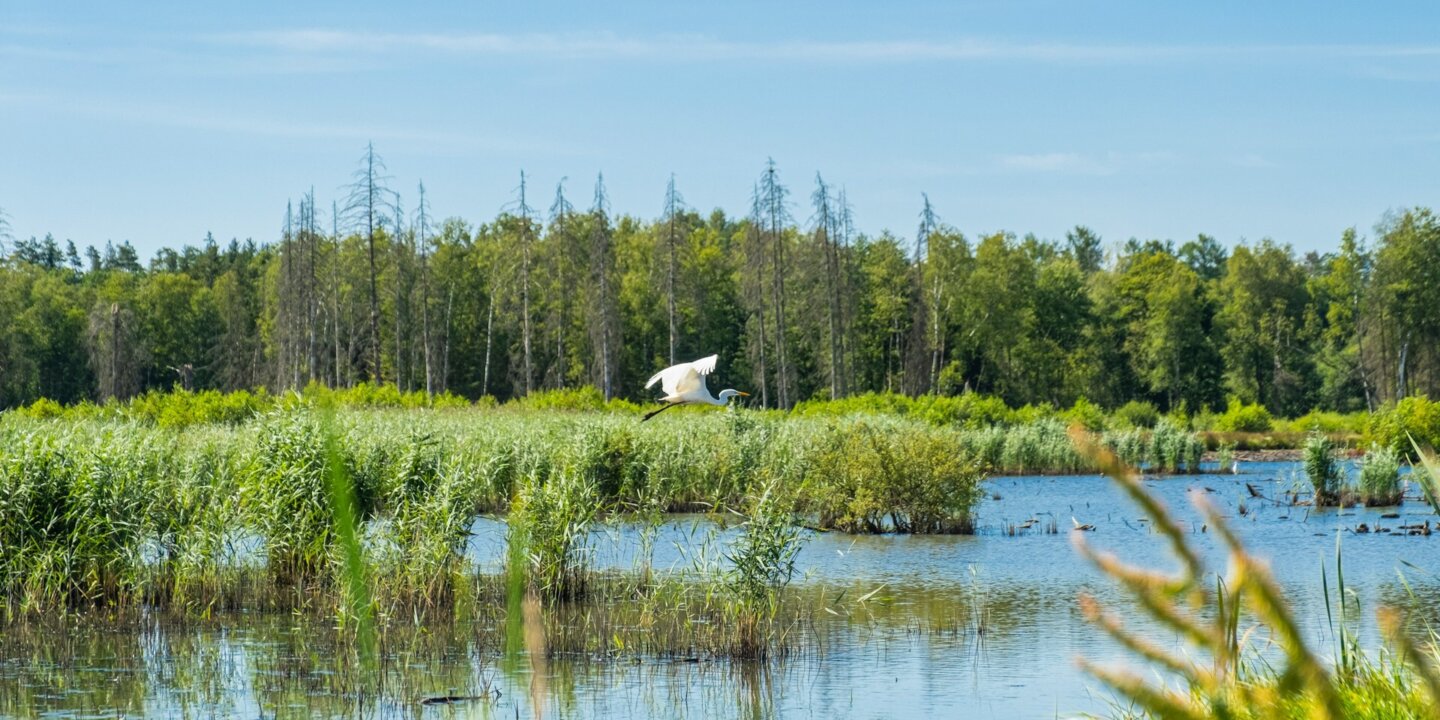 Coralie meurice GB Mqhv Huuu4 unsplash 3