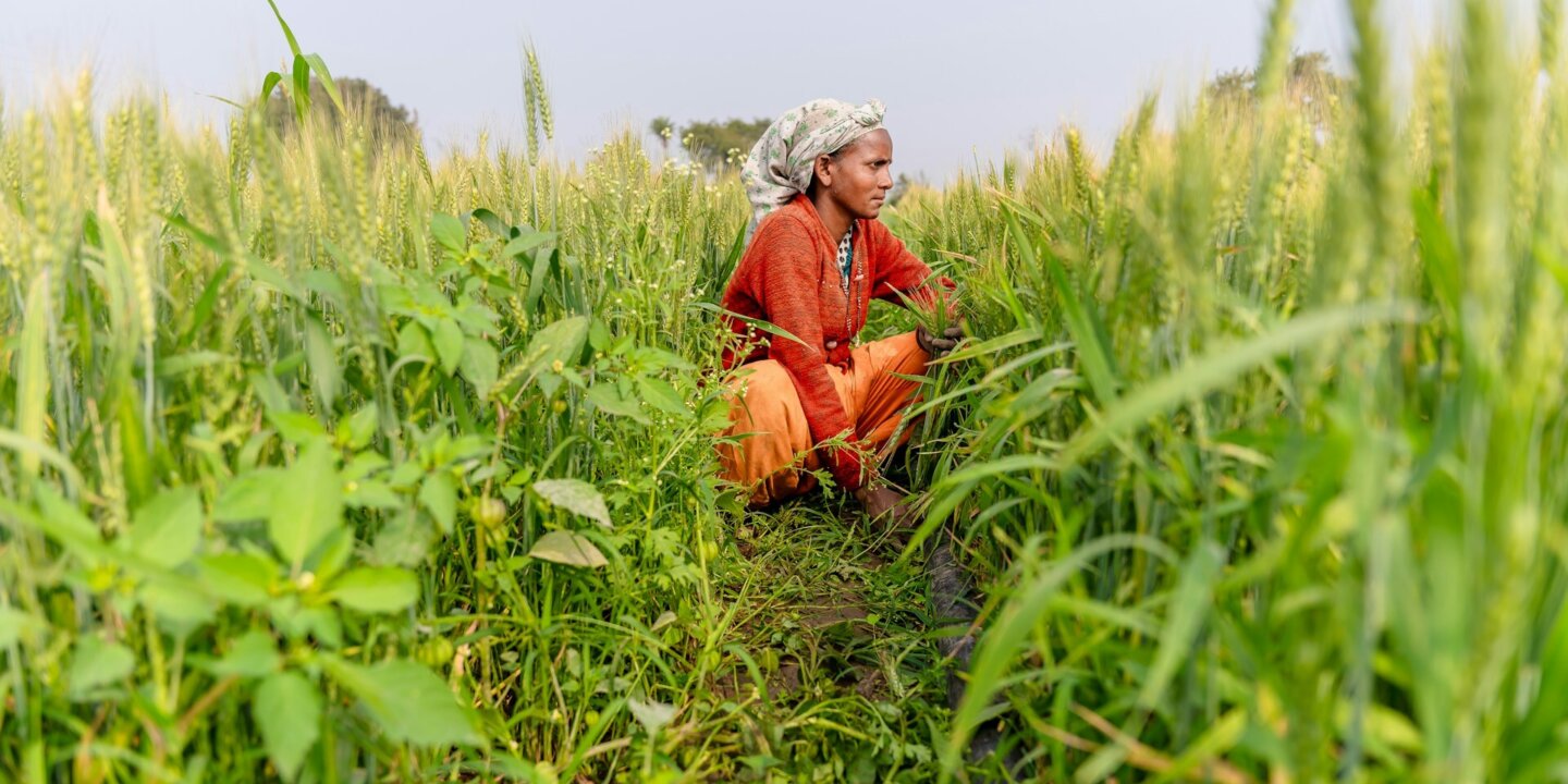 Equalstock CWR Ikdu Z Ujs unsplash