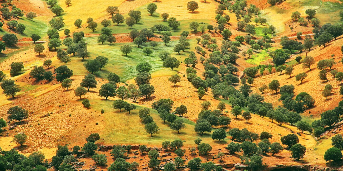 Hasan almasi Avdaf Vbjmi0 unsplash