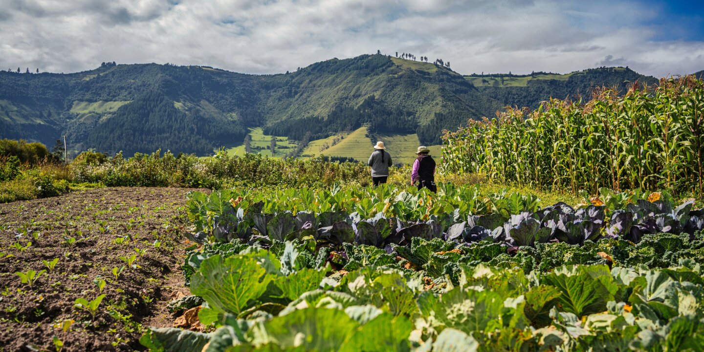 Kiyoshi YX Noq4 LMZ9k unsplash